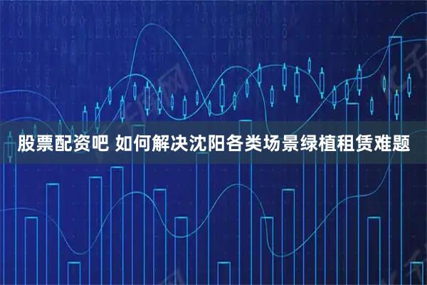 股票配资吧 如何解决沈阳各类场景绿植租赁难题